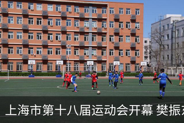 上海市第十八届运动会开幕 樊振东、吴敏霞等体坛名将助阵