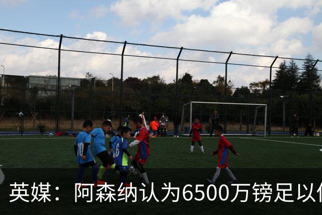 英媒：阿森纳认为6500万镑足以促成吉马良斯转会，纽卡不愿出售